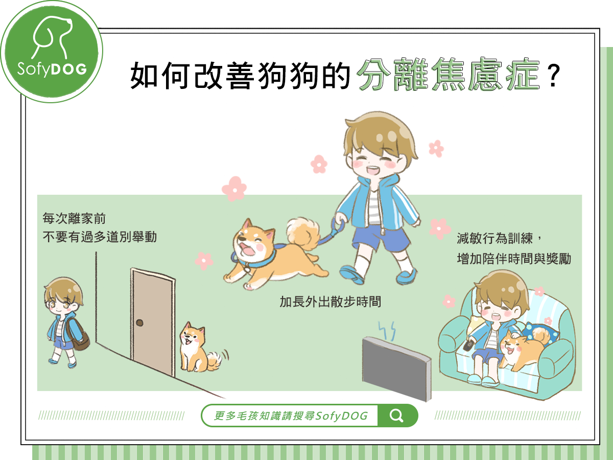 改善狗的分離焦慮症 Sofydog寵物精品
