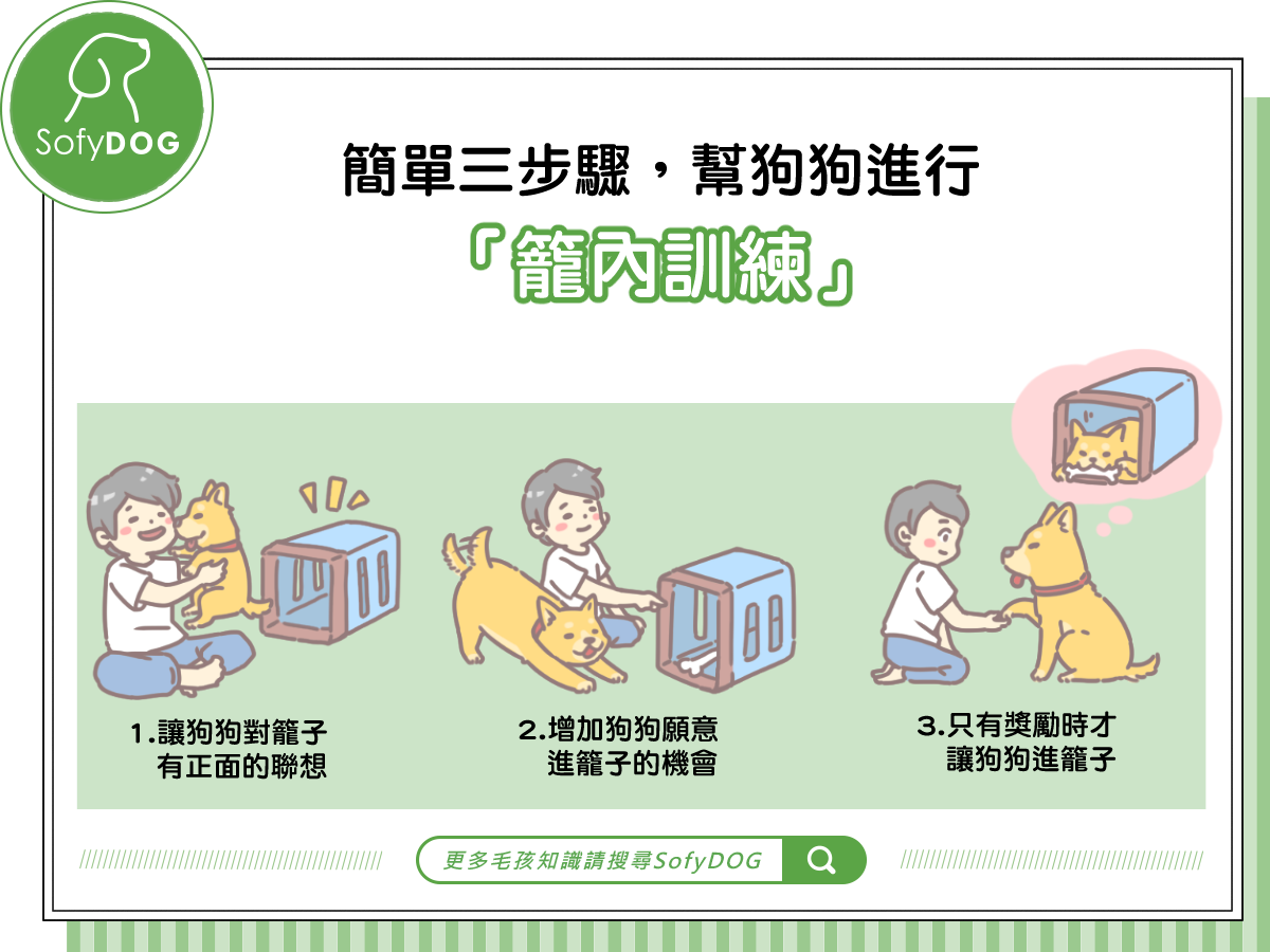 簡單三步驟 幫狗狗進行 籠內訓練 Sofydog寵物精品