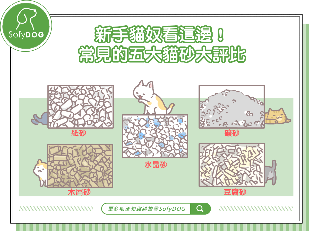 常見的五大貓砂大評比 Sofydog寵物精品