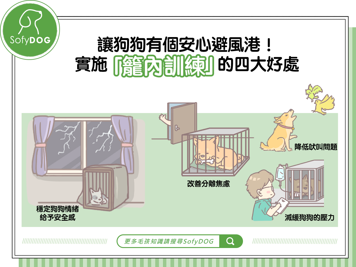 讓狗做籠內訓練的好處 Sofydog寵物精品