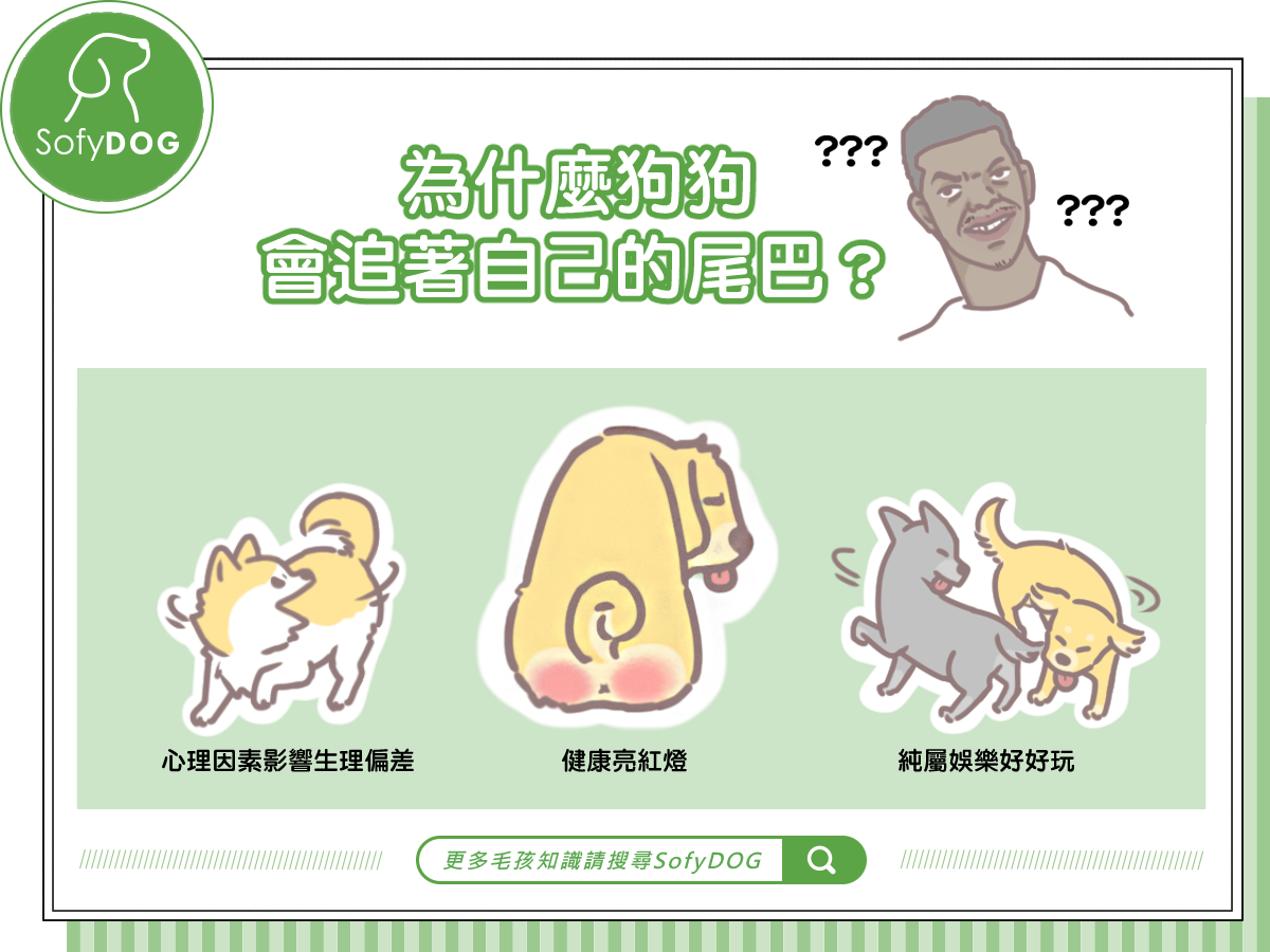 狗追尾巴 Sofydog寵物精品