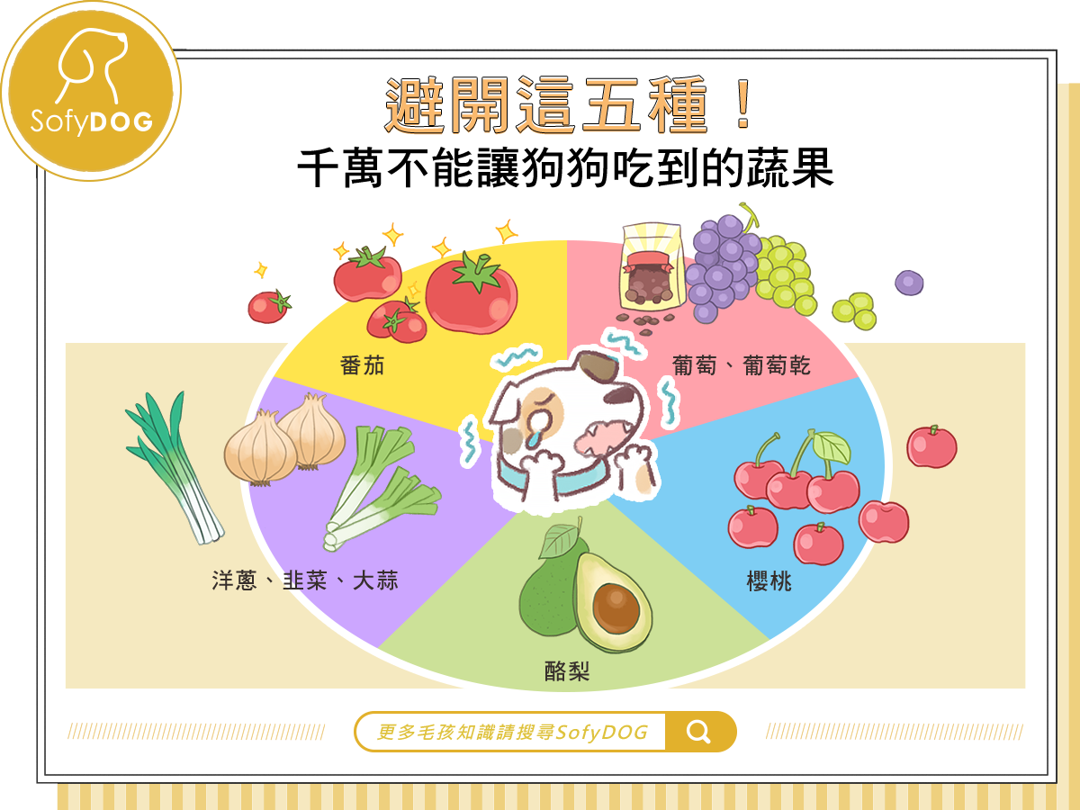 避開這五種 千萬不能讓狗狗吃到的蔬果 Sofydog寵物精品
