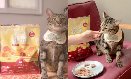 Hyperr貓凍乾生食．是家長們的好選擇