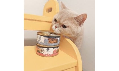 吃的好皮膚毛髮也會跟著亮麗起來！