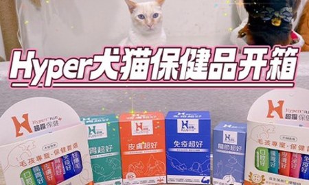 Hyperr超躍犬貓保健品開箱評價，腸胃、皮膚、免疫、關節，從打好腸胃基底開始！