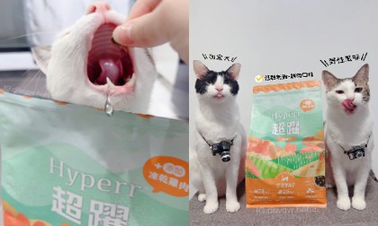 Hyperr貓飼料X凍乾．加入乾乾口袋名單!
