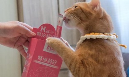 Hyperr腎泌益生菌．守護寶貝健康 從現在開始