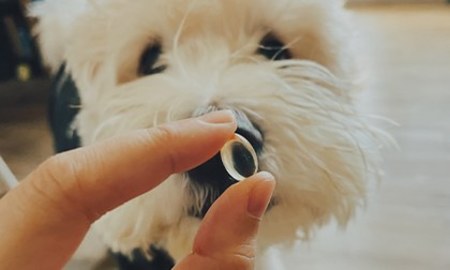 Hyperr高濃度魚油．頭好壯壯又皮呼不癢癢