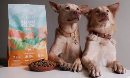 Hyperr無穀飼料．Yedi開胃吃光光了