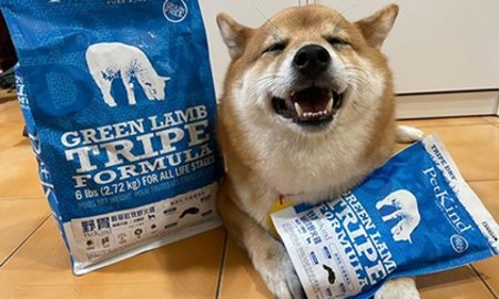 野胃鮮草肚天然糧．不用擺盤就開始狂嗑