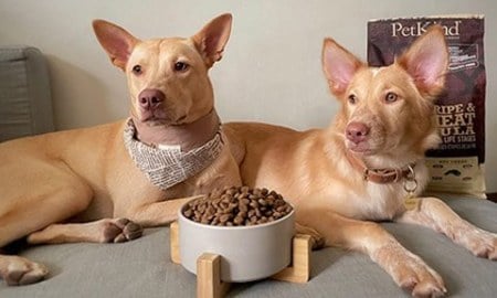 野胃鮮草肚天然糧．Sekiz完全當零食在吃吧？