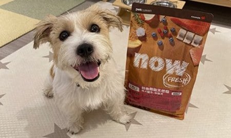 now鮮魚成犬糧．適中尺寸好消化