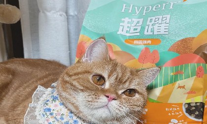 Hyperr貓飼料X凍乾．質地比較鬆散