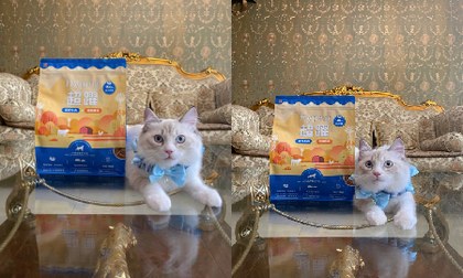 Hyperr貓凍乾生食．關節腸胃一次搞定