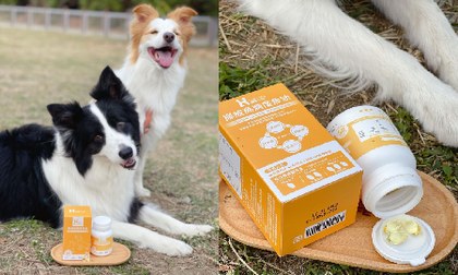 Hyperr挪威高濃度魚油．純度高，吸收快