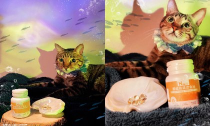 Hyperr高濃度魚油．味道不會腥味重