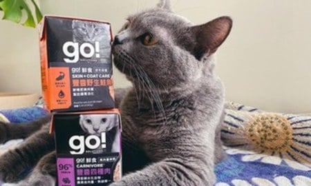 go!貓利樂包．讓貓咪們難保持優雅