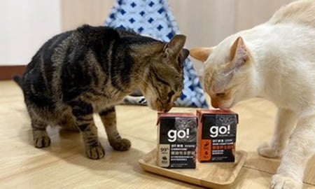 go!貓利樂包．比起傳統罐頭更方便