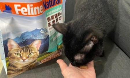 濃濃魚香味撲鼻而來