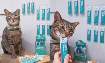 Hyperr腸胃益生菌．改善便便型態