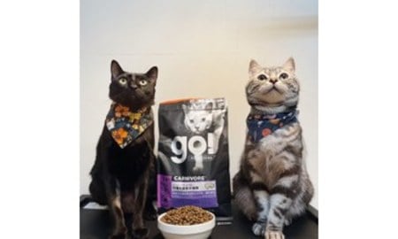 豐富的益生菌維護腸胃健康