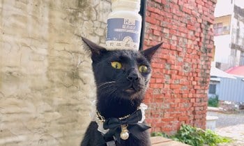 Hyperr關節保健品．預防勝於治療