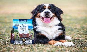 ZIWI巔峰風乾肉片．適合當訓練零食