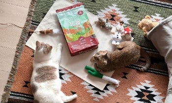 Hyperr貓飼料X凍乾．難怪年年吃得那麼香…