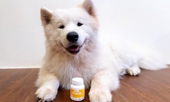 Hyperr關節保健品．膠囊隔絕空氣鎖住新鮮