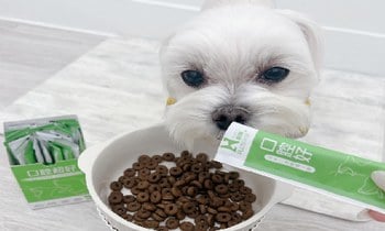 Hyperr口腔益生菌．幫助消除口腔異味