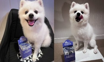 Hyperr毛髮超好保健品．養出強健毛髮