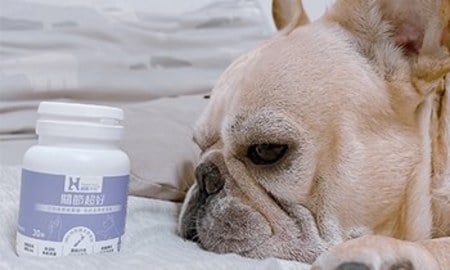 Hyperr關節保健品．少見的高濃度GAG