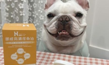 Hyperr高濃度魚油．咘咘都超期待吃魚油