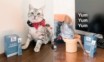 Hyperr免疫力保健品．多項認證很安心