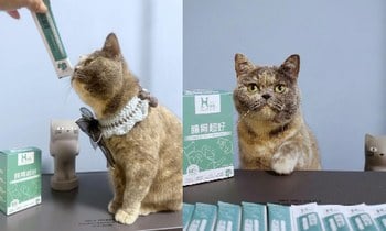 Hyperr腸胃保健品．超強整腸力