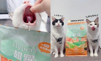 Hyperr貓飼料X凍乾．加入乾乾口袋名單!