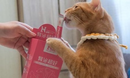 Hyperr腎泌益生菌．守護寶貝健康 從現在開始