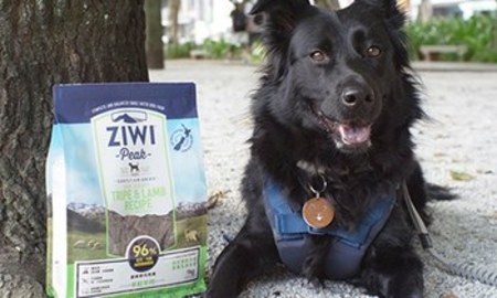 ZIWI巔峰風乾肉片．一口接一口欲罷不能