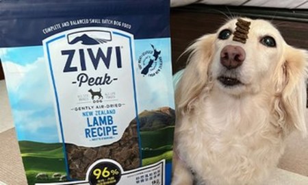 ZIWI巔峰風乾肉片．適口性非常好