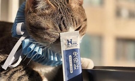 Hyperr免疫力保健品．守護毛孩健康好元氣