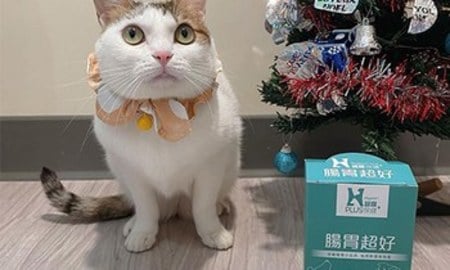 Hyperr腸胃益生菌．改善大便型態