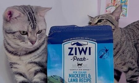 ZIWI巔峰風乾肉片．高含肉量超低碳水