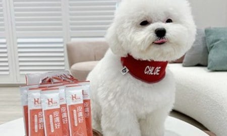 Hyperr皮膚益生菌．由內而外打造健康膚質