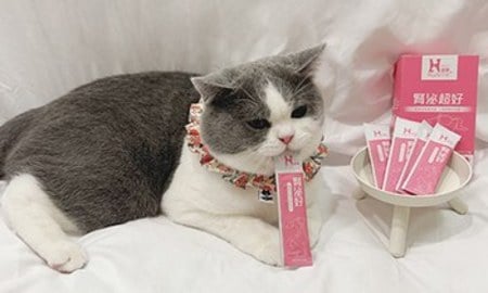 Hyperr腎泌益生菌．日常保健很重要