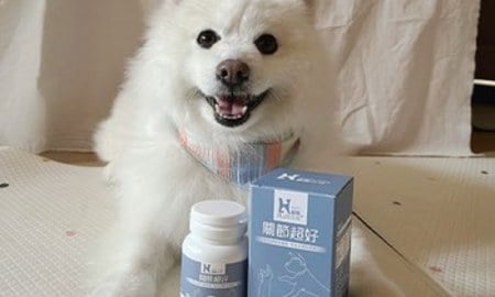 Hyperr關節保健品．適口性給它A++