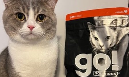 go!四種肉貓糧．高肉量好消化，更容易吸收