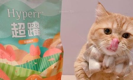 Hyperr無穀飼料．圓小的形狀適合貓食用