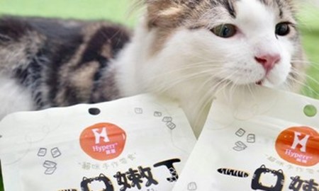 Hyperr一口嫩丁貓零食．零食的大小很剛好