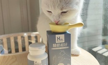 Hyperr關節保健品．有淡淡的綠唇貝香味