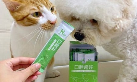 Hyperr口腔益生菌．強化口腔制菌力